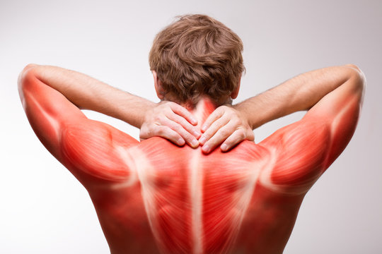 Neck pain, man musculature illustration.