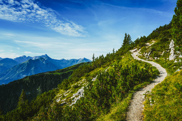 Hiking trail through forested alpine peaks - obrazy, fototapety, plakaty