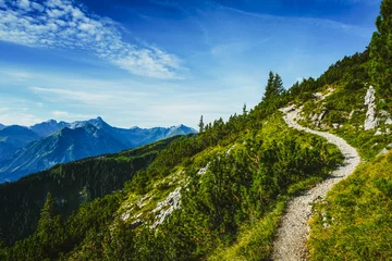 Foto op Plexiglas Hiking trail through forested alpine peaks © XtravaganT