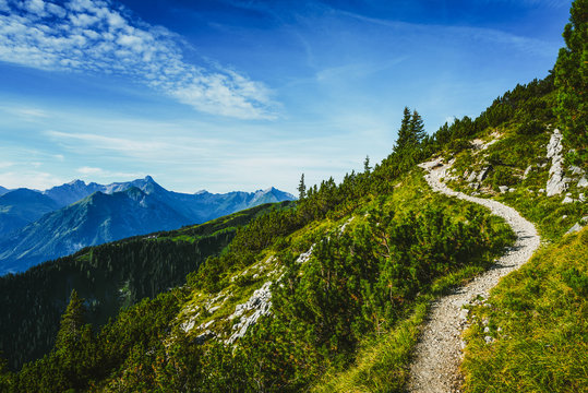 Fototapeta Hiking trail through forested alpine peaks