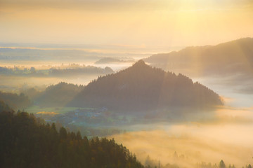 Obraz premium The charming landscape with fog in the valley in the mountains (Angel, God's Word, the Holy Spirit, the Bible, heaven - Concept)