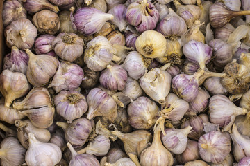 garlic texture close up