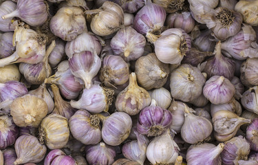 garlic texture close up