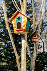 wooden birdhouse on a tree in the forest and park