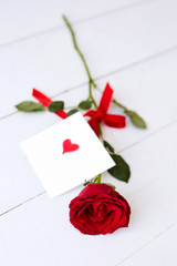  Roses on a white wooden background. Valentine day background