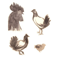 Fototapeta na wymiar Hand drawn brushstroke sketch on paper of chicken