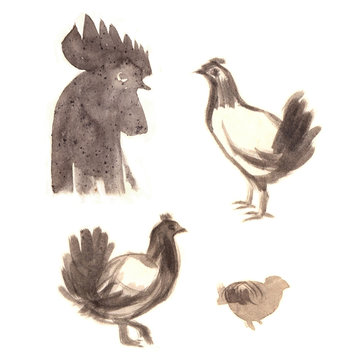 Hand drawn brushstroke sketch on paper of chicken