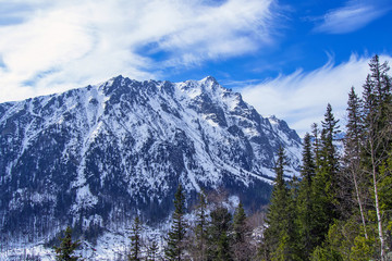 Naklejka premium Mountains