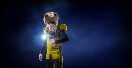 Furious rhinos team    . Mixed media