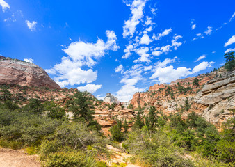 Fototapeta premium Zion Nationalpark