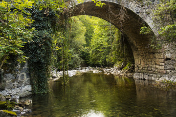 Naklejka premium Bridge over a river 