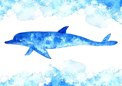 Dolphin and water.Watercolor hand drawn illustration.Underwater animal art.