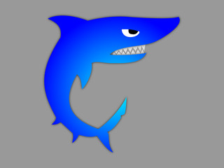 Shark illustartion