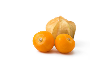 cape gooseberry