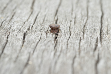 The old nail on wood (Focus on nail)