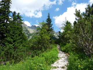 Obraz premium Mountain trail in High Tatras mountains, Slovakia