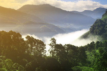 landscape sea of mist or fog with green tree and mountain on the clear blue sky with warm white sunlight in the morning on strawberry fruit farm Ban No Lae