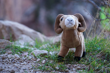Toy bighorn sheep ram with large horns on Grand Canyon Cliffs