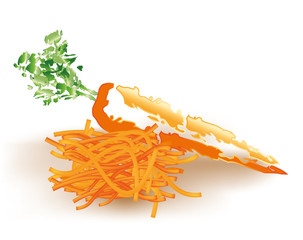 Carrot with shredded carrots on white background