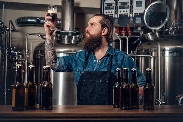A man manufacturer tasting beer in the microbrewery.