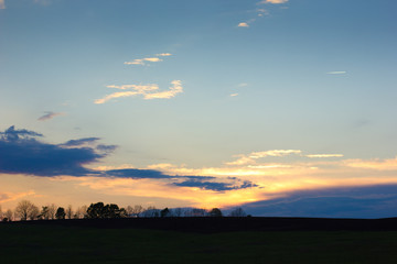 sea,beach,Crimea,Sudak,fortress,castle,Genoese fortress,Ukraine,mountains,cliffs,rocks, sea,sky,blue sky,sun,sea, stones,waves,spray,water,cat,gray cat,cat,smoothie,drink,glass,cherry,cocktail,Seagull