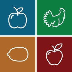 Set of 4 diet outline icons