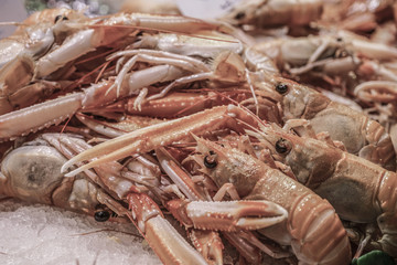 Small crayfish in fish market