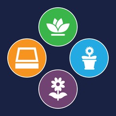 Set of 4 botanic filled icons