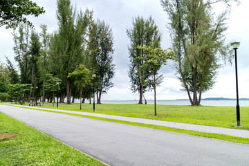 bicycle track with green trees in a Park by the sea