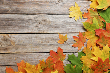 Naklejka na ściany i meble Autumn leafs on grey wooden table