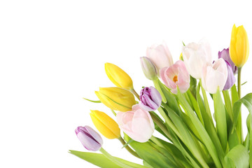 Bouquet of tulips isolated on a white