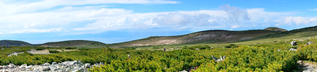 Panorama of nature, green hills