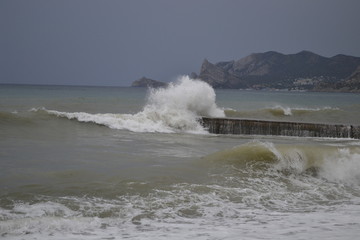 sea,beach,Crimea,Sudak,fortress,castle,Genoese fortress,Ukraine,mountains,cliffs,rocks, sea,sky,blue sky,sun,sea, stones,waves,spray,water,cat,gray cat,cat,smoothie,drink,glass,cherry,cocktail,Seagull