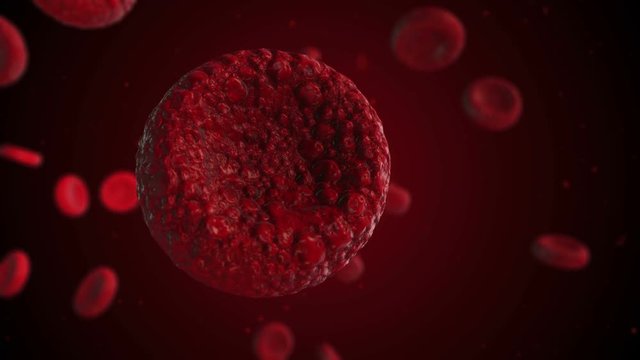 Realistic rendering of bacteria - in red colors