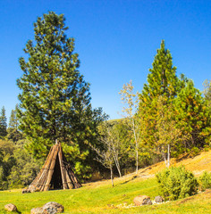 Miwuk Indian Tepee At Base of Hill