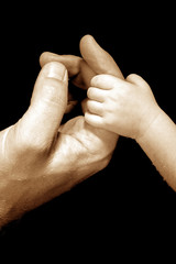 Fototapeta premium baby hand holding by adult