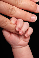 baby hand holding by adult