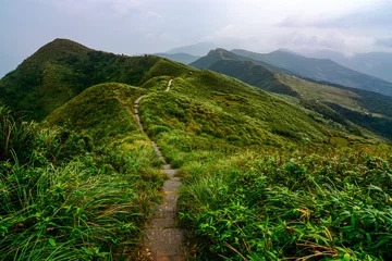 Poster Vreedzaam pad door groene kustheuvels en graslanden op de Caoling Historic Trail in Taiwan © David Carillet