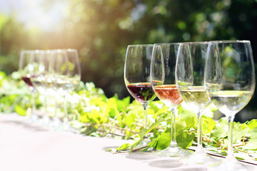 Collection of wine glasses on table for tasting outdoors