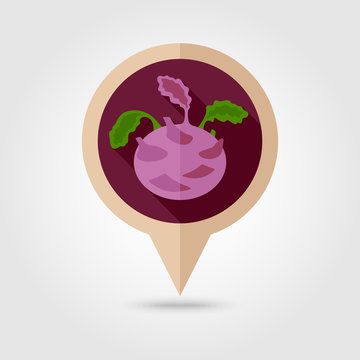 Kohlrabi flat pin map icon. Vegetable vector