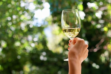 Naklejka premium White wine glass in hand