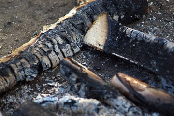 Charred wood from the fire on the earth, ash and embers