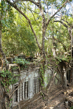 Abandoned temple in Cambodia 