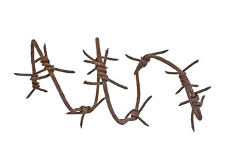 Rusty barbed wire on white background