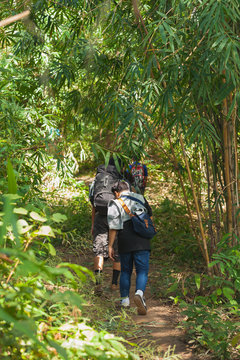 Traveller walking in the forest at Phu Soi Dao, Uttaradit in Northern Thailand.