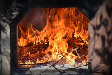 fire on oven