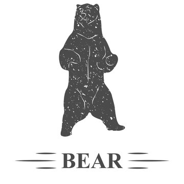 медведь стоит и позирует, винтаж