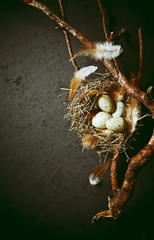 Rustic Easter arrangement of branches, eggs and feathers