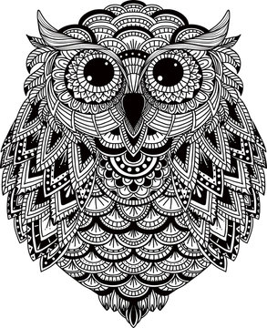 OWL vector handdrawn illustration in zentangle style