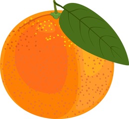 Orange with green leaf on white background